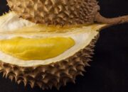 Dikenal Bau, Ternyata Buah Durian Punya Manfaat yang Dahsyat buat Kesehatan