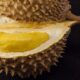 Dikenal Bau, Ternyata Buah Durian Punya Manfaat yang Dahsyat buat Kesehatan