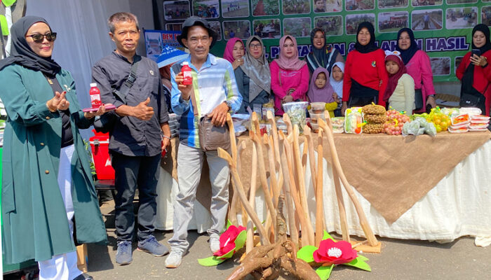 Petani di Tamansari Bangga bisa Kolaborasi dengan Arjuna Farm 