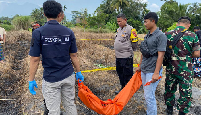 Temuan Kerangka Manusia di Ladang Pesawahan Hebohkan Warga Cisayong