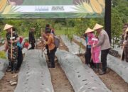 Dukung Swasembada Pangan 2025, Polri dan Kementan Tanam Jagung Serentak 1 Juta Hektar