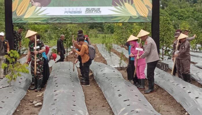Dukung Swasembada Pangan 2025, Polri dan Kementan Tanam Jagung Serentak 1 Juta Hektar
