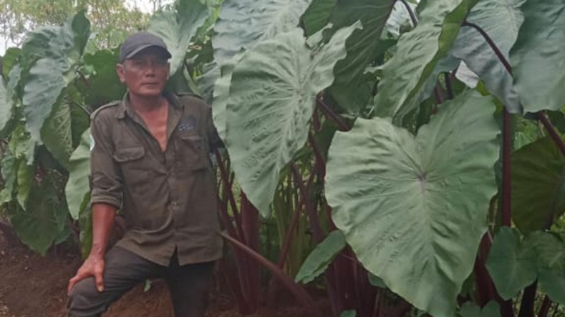 Padukan Sampah dan Pertanian, Bank Sampah Taruna Resik dapat Apresiasi dari Angdew dan Dinas Terkait