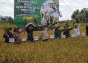 Hadiri Panen Raya Serentak, Viman : Target Panen Tercapai