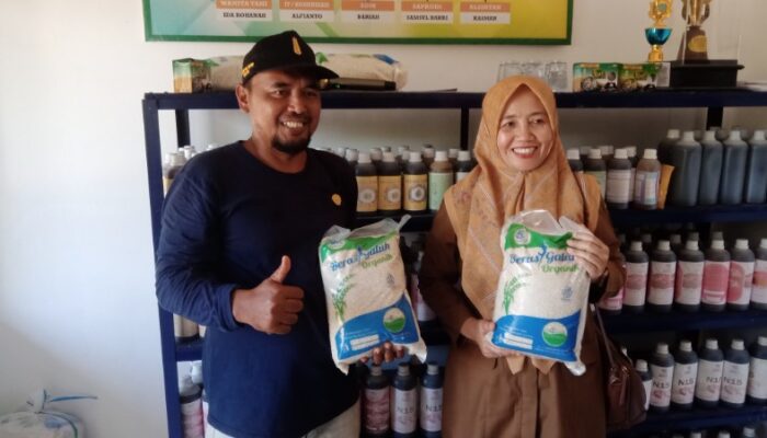 Kelompok Tani Parikesit Berhasil Produksi Padi Organik Hingga Ratusan Ton, Pemasaran Hingga ke Riau