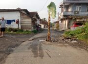 Kecewa, Warga Sambongpari Tanam Pohon Pisang di Jalan Rusak