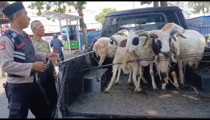 Addda Aja Modus Penipu Jelang Idul Adha, Hati Hati Para Penjual Hewan Kurban, Jangan Bernasib Seperti ini